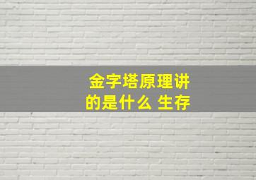 金字塔原理讲的是什么 生存